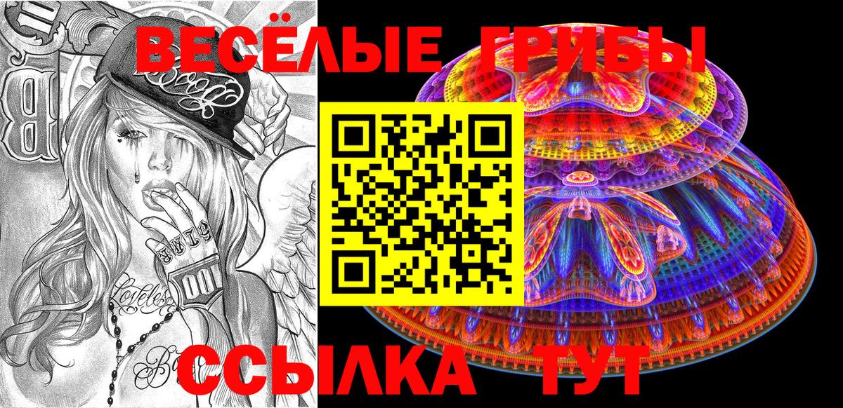 Галлюциногенные грибы Psilocybe Ялуторовск